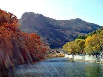 丁家湾村委会最新领导概览，丁家湾村委会领导最新概览
